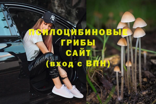 каннабис Верея